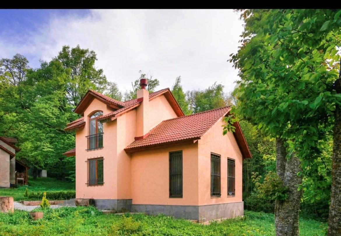 Dilijan Dream House! 3 Bedroom Amazing Villa In National Park! Exterior photo